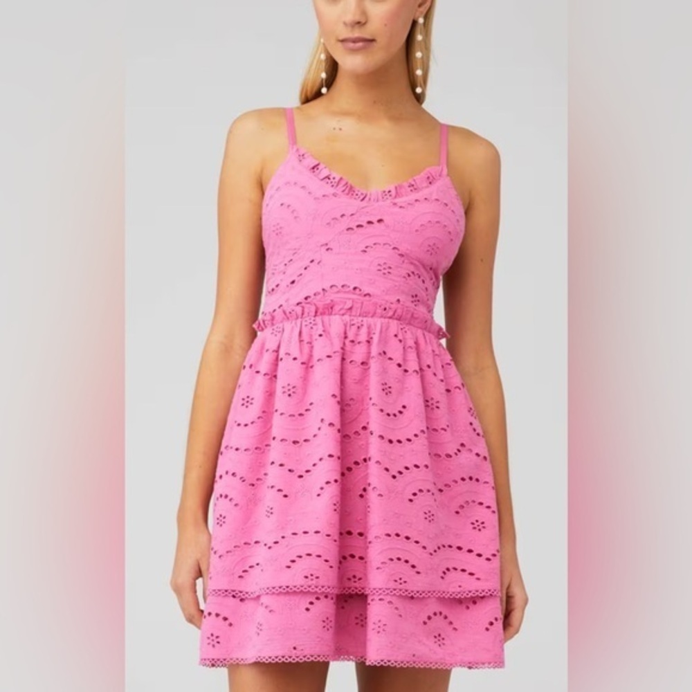 Winston White Women's Pink Eyelet Francesca Mini Dress $165 RTR EUC S #1922